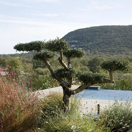 U Pinu * Pinarellu (Corsica)