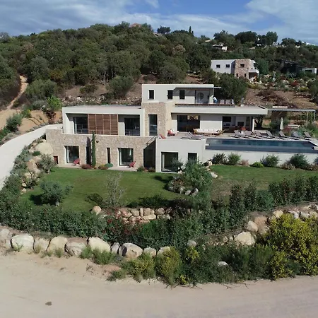 U Pinu Pinarellu (Corsica)