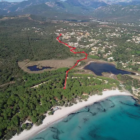 Villa U Pinu *