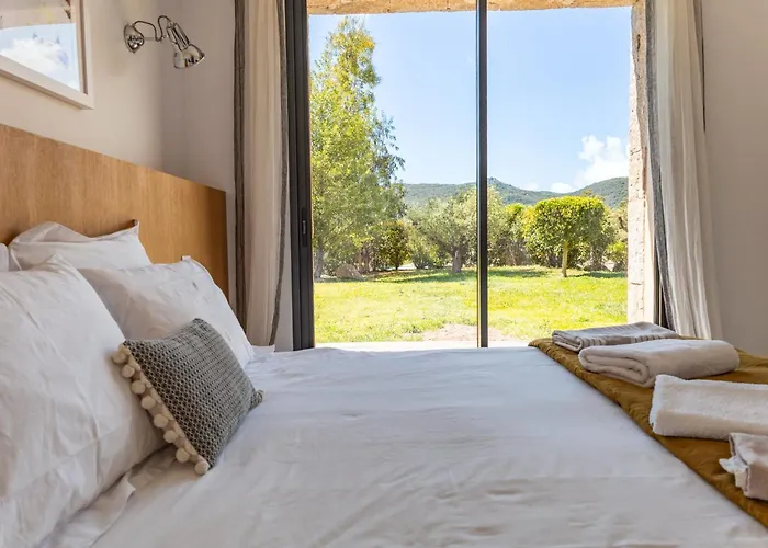 U Pinu Di * Pinarellu